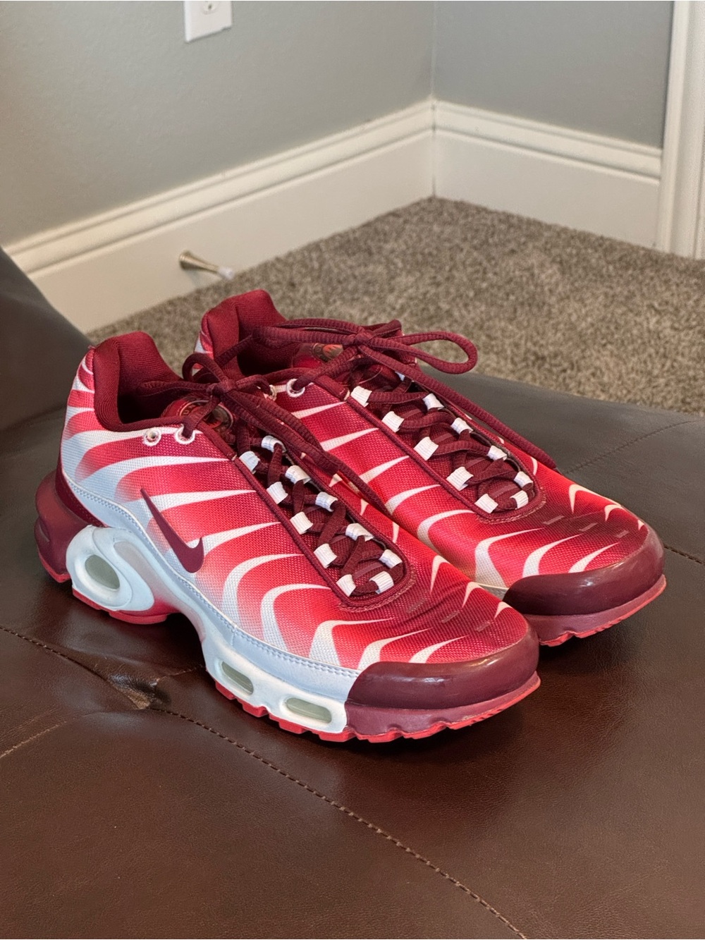 Nike Air Max Plus “After the Bite” Red and Burgundy Sneakers 40.5 EUR/US 7.5